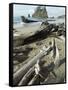 Second Beach, Olympic National Park, Unesco World Heritage Site, Washington State, USA-Ethel Davies-Framed Stretched Canvas