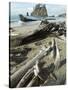 Second Beach, Olympic National Park, Unesco World Heritage Site, Washington State, USA-Ethel Davies-Stretched Canvas