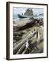 Second Beach, Olympic National Park, Unesco World Heritage Site, Washington State, USA-Ethel Davies-Framed Photographic Print