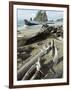 Second Beach, Olympic National Park, Unesco World Heritage Site, Washington State, USA-Ethel Davies-Framed Photographic Print