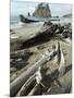 Second Beach, Olympic National Park, Unesco World Heritage Site, Washington State, USA-Ethel Davies-Mounted Photographic Print