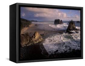 Second Beach, Olympic National Park, Washington, USA-Art Wolfe-Framed Stretched Canvas