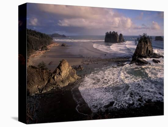 Second Beach, Olympic National Park, Washington, USA-Art Wolfe-Stretched Canvas