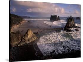 Second Beach, Olympic National Park, Washington, USA-Art Wolfe-Stretched Canvas