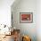 Second Carpet-Cat-Patch, 1992-Ditz-Framed Giclee Print displayed on a wall