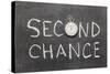 Second Chance-Yury Zap-Stretched Canvas