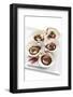 Second Course-Fabio Petroni-Framed Photographic Print