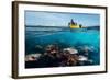 Second Dive-Pavol Stranak-Framed Photographic Print