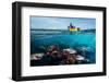 Second Dive-Pavol Stranak-Framed Photographic Print