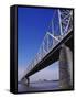 Second Street Bridge, Louisville, Kentucky, USA-null-Framed Stretched Canvas