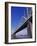 Second Street Bridge, Louisville, Kentucky, USA-null-Framed Photographic Print