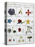 Second Table of the Linnean Plant Sexual System-Carl Linnaeus-Stretched Canvas