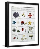 Second Table of the Linnean Plant Sexual System-Carl Linnaeus-Framed Giclee Print