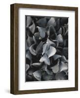 Secret 10-Design Fabrikken-Framed Photographic Print