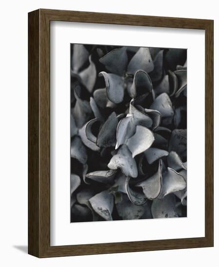 Secret 10-Design Fabrikken-Framed Photographic Print