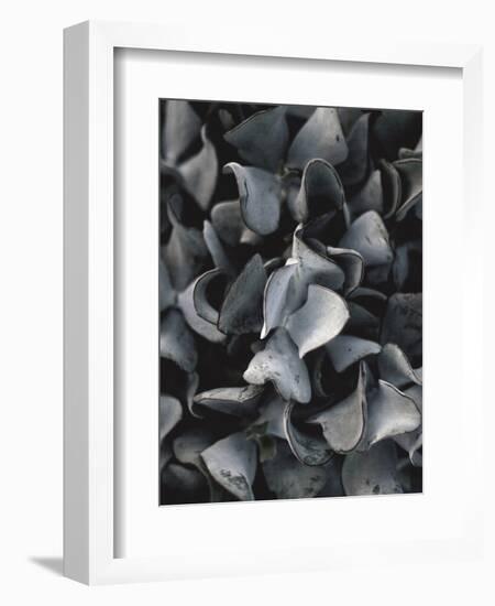 Secret 10-Design Fabrikken-Framed Photographic Print