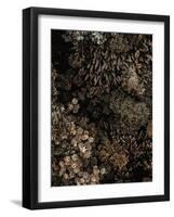 Secret 11-Design Fabrikken-Framed Photographic Print