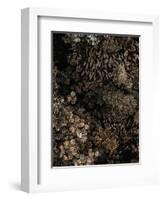 Secret 11-Design Fabrikken-Framed Photographic Print