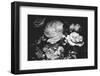 Secret 12-Design Fabrikken-Framed Premium Photographic Print