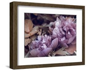 Secret 14-Design Fabrikken-Framed Photographic Print