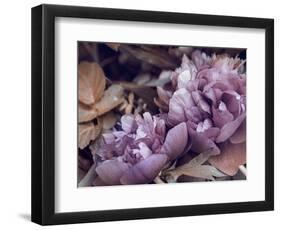 Secret 14-Design Fabrikken-Framed Photographic Print