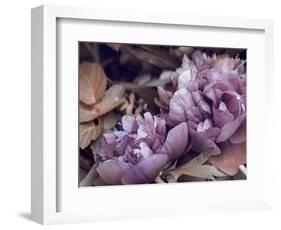 Secret 14-Design Fabrikken-Framed Photographic Print