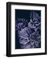 Secret 15-Design Fabrikken-Framed Photographic Print