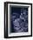 Secret 15-Design Fabrikken-Framed Photographic Print