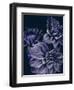 Secret 15-Design Fabrikken-Framed Photographic Print