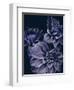 Secret 15-Design Fabrikken-Framed Photographic Print