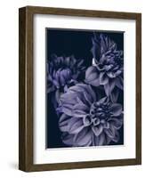 Secret 15-Design Fabrikken-Framed Photographic Print