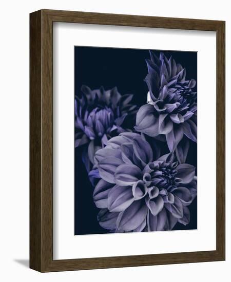 Secret 15-Design Fabrikken-Framed Photographic Print