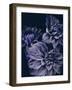 Secret 15-Design Fabrikken-Framed Photographic Print