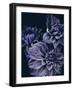 Secret 15-Design Fabrikken-Framed Photographic Print