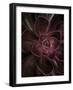 Secret 16-Design Fabrikken-Framed Photographic Print