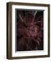 Secret 16-Design Fabrikken-Framed Photographic Print