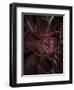 Secret 16-Design Fabrikken-Framed Photographic Print