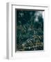 Secret 1-Design Fabrikken-Framed Photographic Print