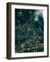 Secret 1-Design Fabrikken-Framed Photographic Print