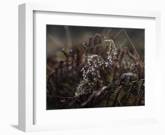 Secret 2-Design Fabrikken-Framed Photographic Print