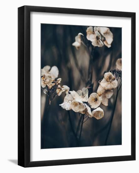 Secret 4-Design Fabrikken-Framed Photographic Print