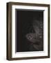 Secret 5-Design Fabrikken-Framed Photographic Print