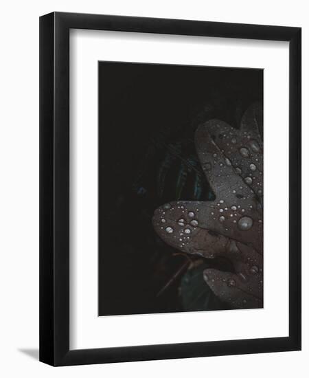 Secret 5-Design Fabrikken-Framed Photographic Print