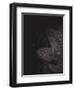 Secret 5-Design Fabrikken-Framed Photographic Print