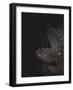 Secret 5-Design Fabrikken-Framed Photographic Print