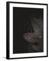 Secret 5-Design Fabrikken-Framed Photographic Print