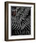 Secret 6-Design Fabrikken-Framed Photographic Print