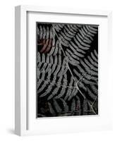 Secret 6-Design Fabrikken-Framed Photographic Print