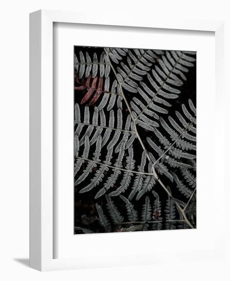 Secret 6-Design Fabrikken-Framed Photographic Print