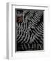 Secret 6-Design Fabrikken-Framed Photographic Print